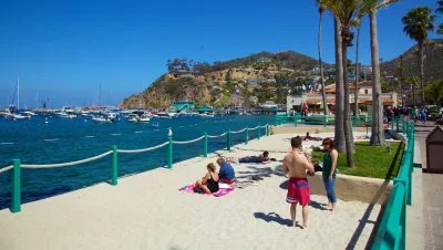 como disfrutar un dia en isla catalina actividades y recomendaciones 1