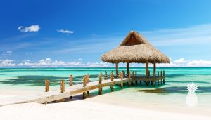 como prevenir enfermedades tropicales en tu viaje a republica dominicana