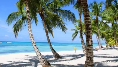 guia completa para surfear en playa macao la aventura te espera