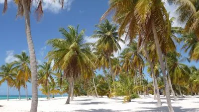 guia de playas en punta cana y bayahibe que hacer ver y comer