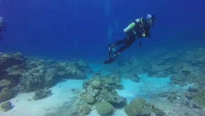 los mejores lugares para bucear en isla catalina