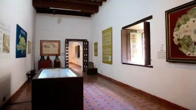 museo de las casas reales testigo del pasado colonial