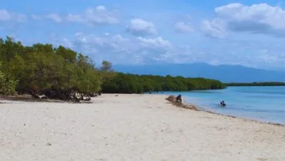 playa la caobita tranquilidad y belleza natural en la costa sur