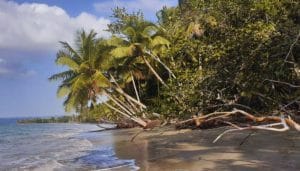 playa paraiso en barahona el refugio tranquilo de la costa sur