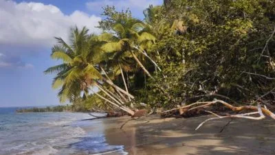 playa paraiso en barahona el refugio tranquilo de la costa sur