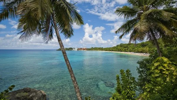 que hacer en playa sosua guia completa para los amantes del snorkel
