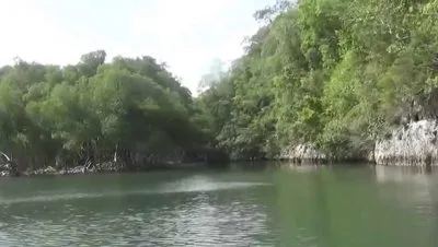sabana de la mar un refugio natural en la region este
